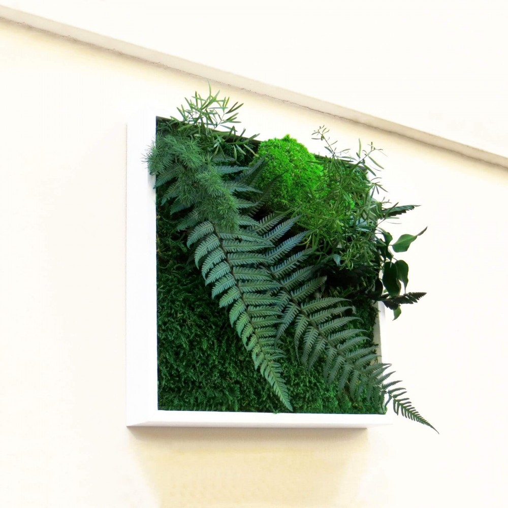 Tableau végétal stabilisé WEST POINT plantes naturelles stabilisées  décoration murale