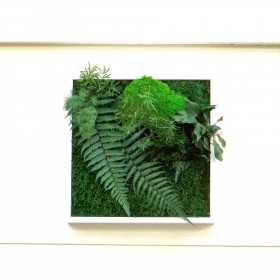 Tableau végétal stabilisé West Point 30 x 30 cm en mousse et fougères