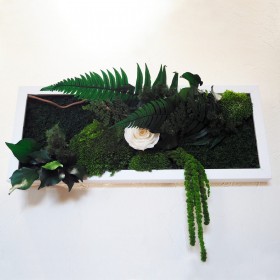 Tableau vegetal rectangulaire horizontal cadre blanc rose eternelle blanche et mousse