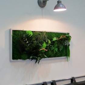 Tableau végétal stabilisé Green Wave accroché au mur, cadre bois blanc, éclairage dirigé mettant en valeur la végétation dense