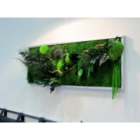 Tableau végétal stabilisé Green Wave vue de profil, végétation dense avec branches de noisetier et cadre bois blanc