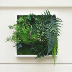 Tableau végétal stabilisé GREEN FALL avec fougères, mousses et feuillages retombants