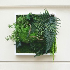 Tableau végétal stabilisé GREEN FALL avec fougères et feuillages verts