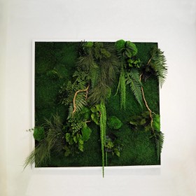Tableau végétal stabilisé LADY JANE XXL - mousses, fougères, bois corylus naturels stabilisés - bestseller - Deco-Vegetale