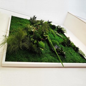 Vue en relief et volume des plantes stabilisées du tableau LADY JANE