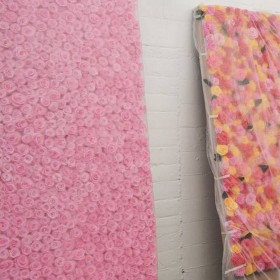 Vue latérale d’un mur de roses stabilisées roses