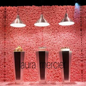 Mur de roses stabilisées roses dans une boutique