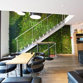 Mur végétal multivégétal stabilisé dans un restaurant