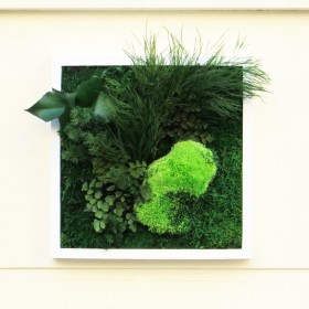 tableau vegetal