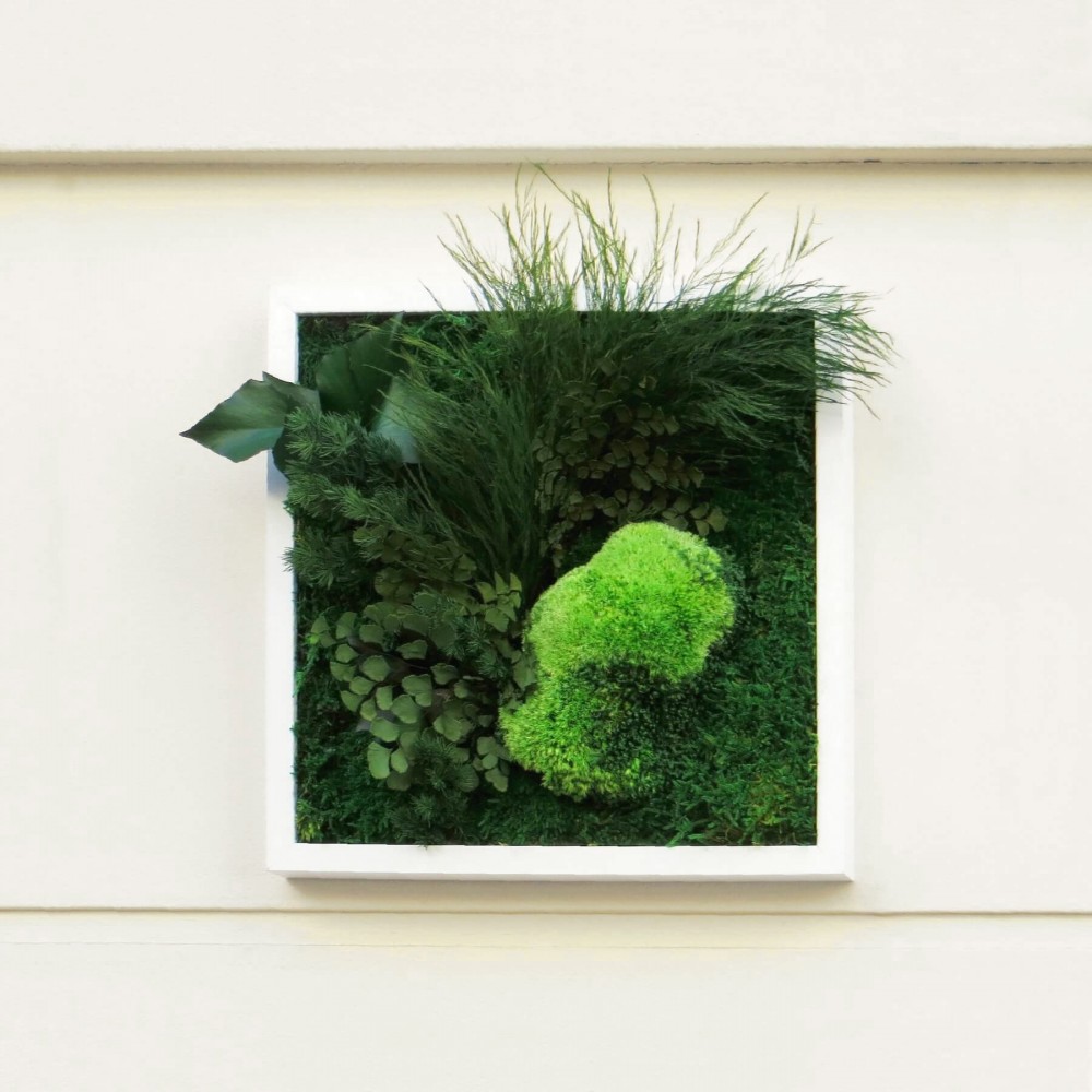 Tableau végétal stabilisé DARWIN — composition mousses et feuillages naturels stabilisés — Deco-Vegetale