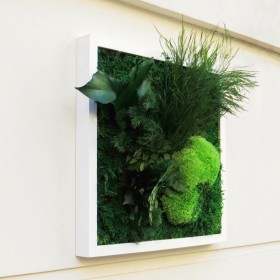 tableau vegetal