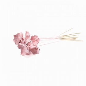 fleurs séchées