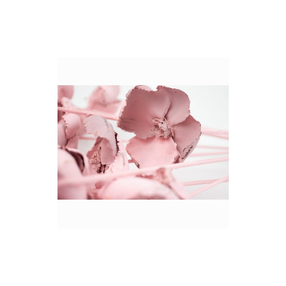 Bouquet de palm cup rose – fleur séchée poudré décoration Deco-Vegetale