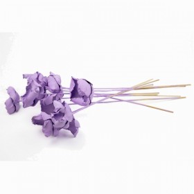 fleurs séchées