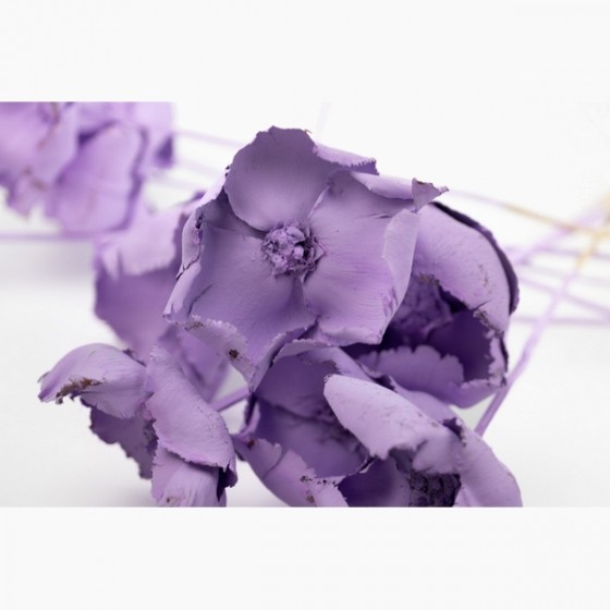 Bouquet de palm cup parme – fleur séchée violet doux décoration Deco-Vegetale