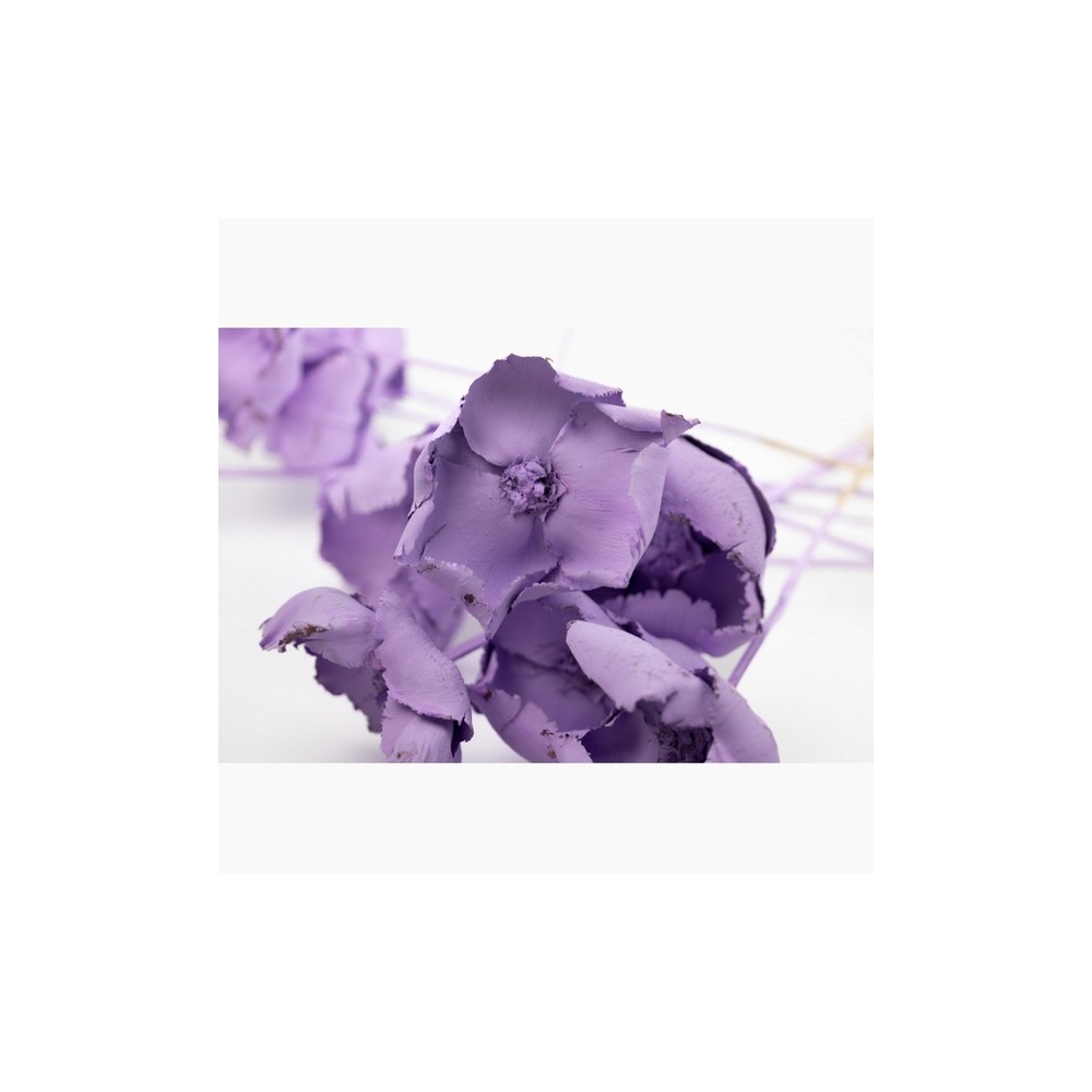 Bouquet de palm cup parme – fleur séchée violet doux décoration Deco-Vegetale