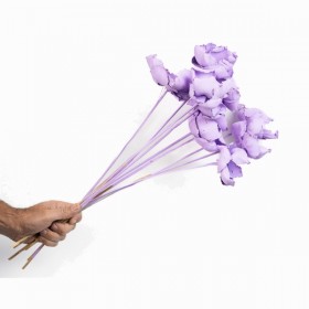fleurs séchées