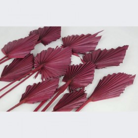 fleurs séchées