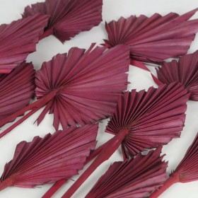 fleurs séchées