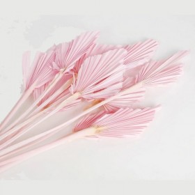 Bouquet de palm mini baby pink – éventails séchés rose pastel Deco-Vegetale