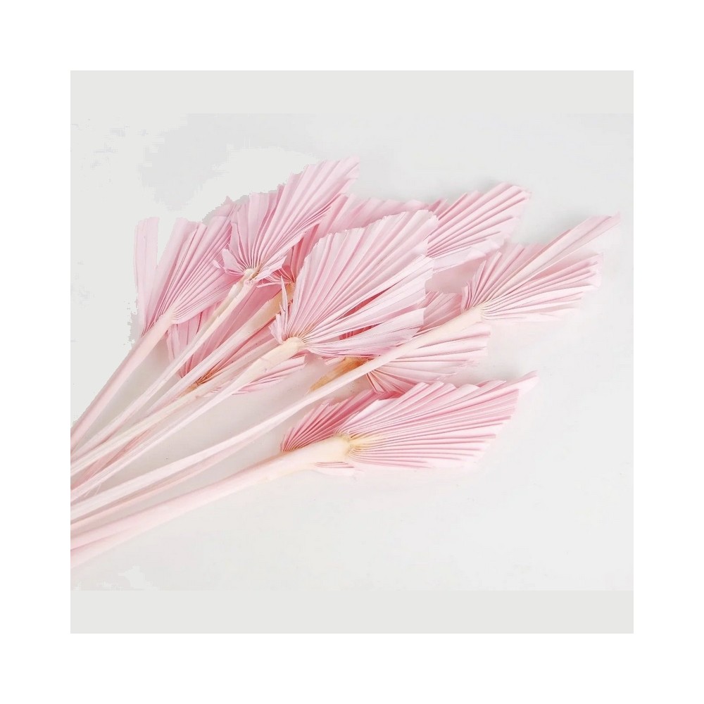 Bouquet de palm mini baby pink – éventails séchés rose pastel Deco-Vegetale