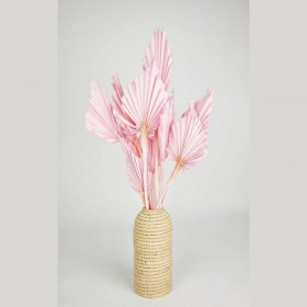 fleurs séchées