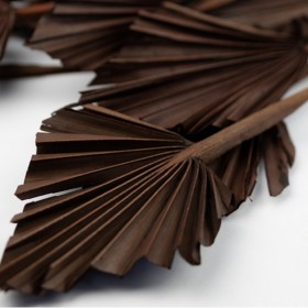 Bouquet de palm mini noisette chocolat – éventails séchés décoration bohème Deco-Vegetale