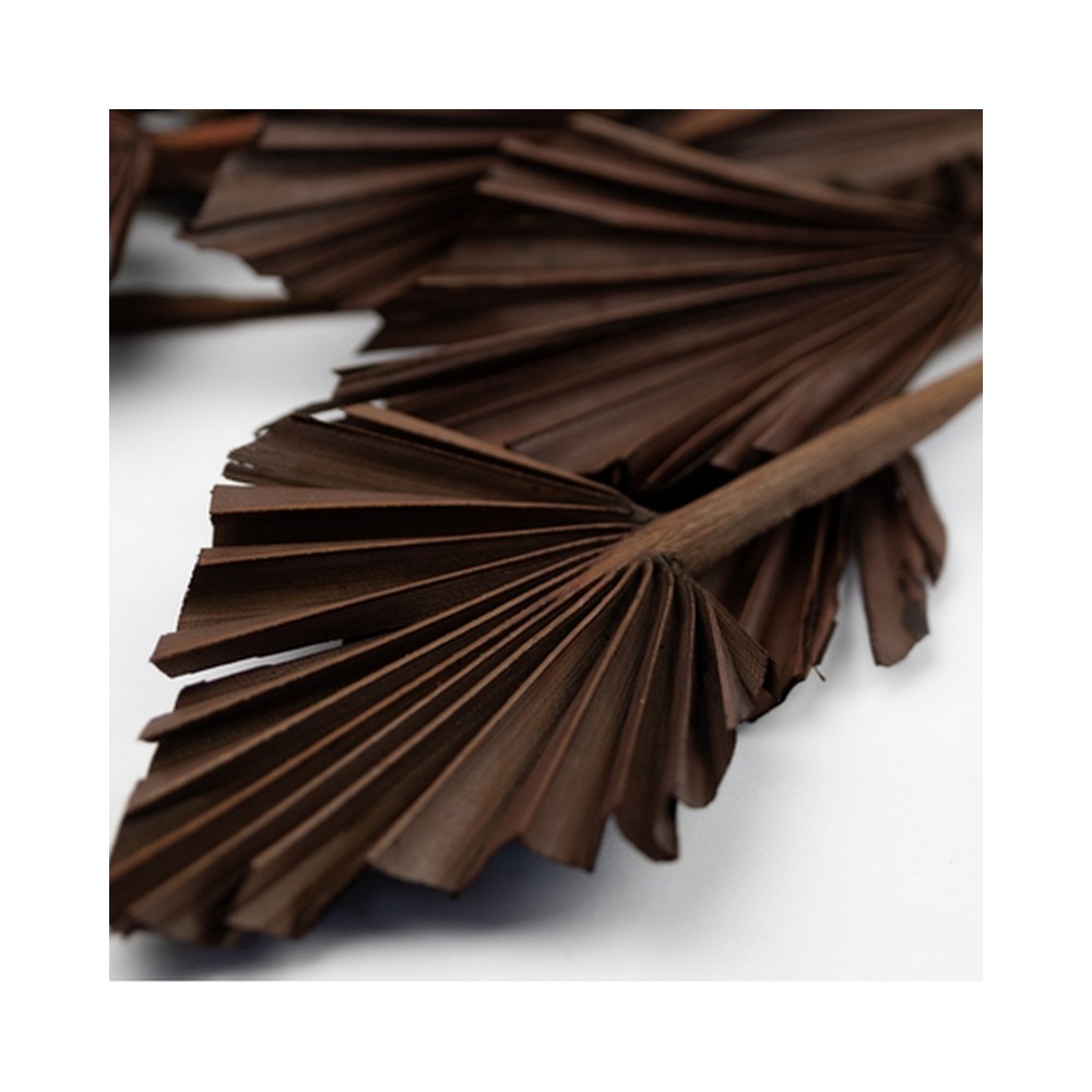 Bouquet de palm mini noisette chocolat – éventails séchés décoration bohème Deco-Vegetale