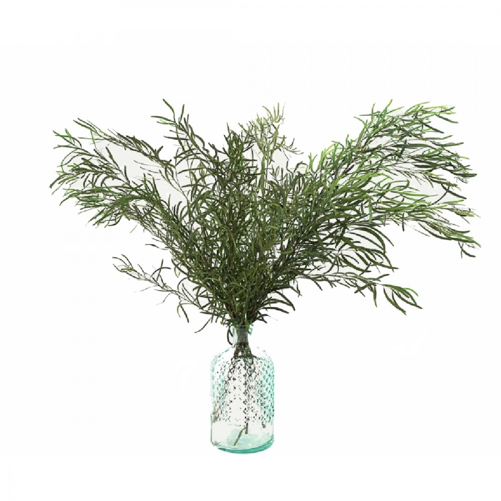 Bouquet d'eucalyptus nicoly stabilisé vert - plante naturelle sans entretien - Deco-Vegetale