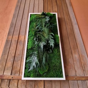 Tableau végétal stabilisé GREEN RIVER — feuillages et plantes naturelles stabilisées — décoration murale — Deco-Vegetale