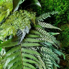 tableau végétal stabilisé Green river création original deco-vegetale
