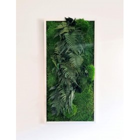 tableau végétal stabilisé Green river création original deco-vegetale