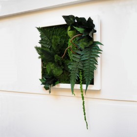 tableau vegetal stabilisé