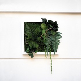 tableau vegetal stabilisé