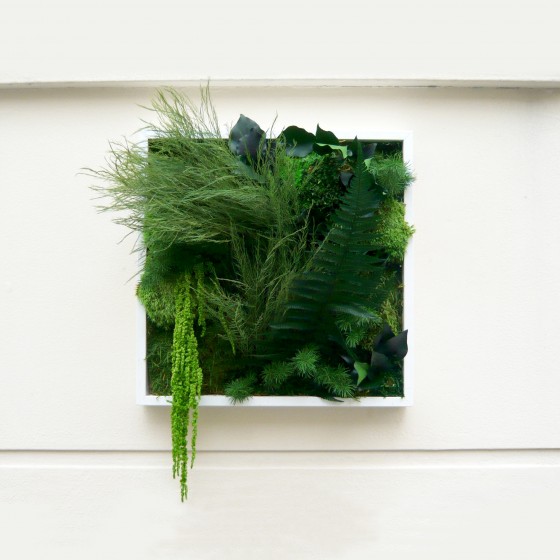 Tableau végétal stabilisé MYSTERIOUS - plantes naturelles stabilisées - décoration murale intérieure - Deco-Vegetale