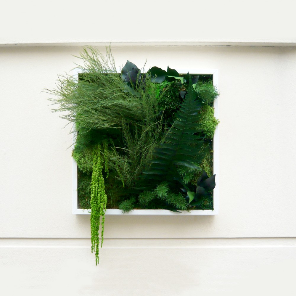 Tableau végétal stabilisé MYSTERIOUS - plantes naturelles stabilisées - décoration murale intérieure - Deco-Vegetale