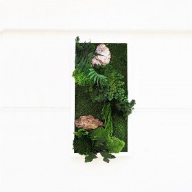 Tableau végétal stabilisé FOSTERIANA — composition végétale naturelle stabilisée — Deco-Vegetale