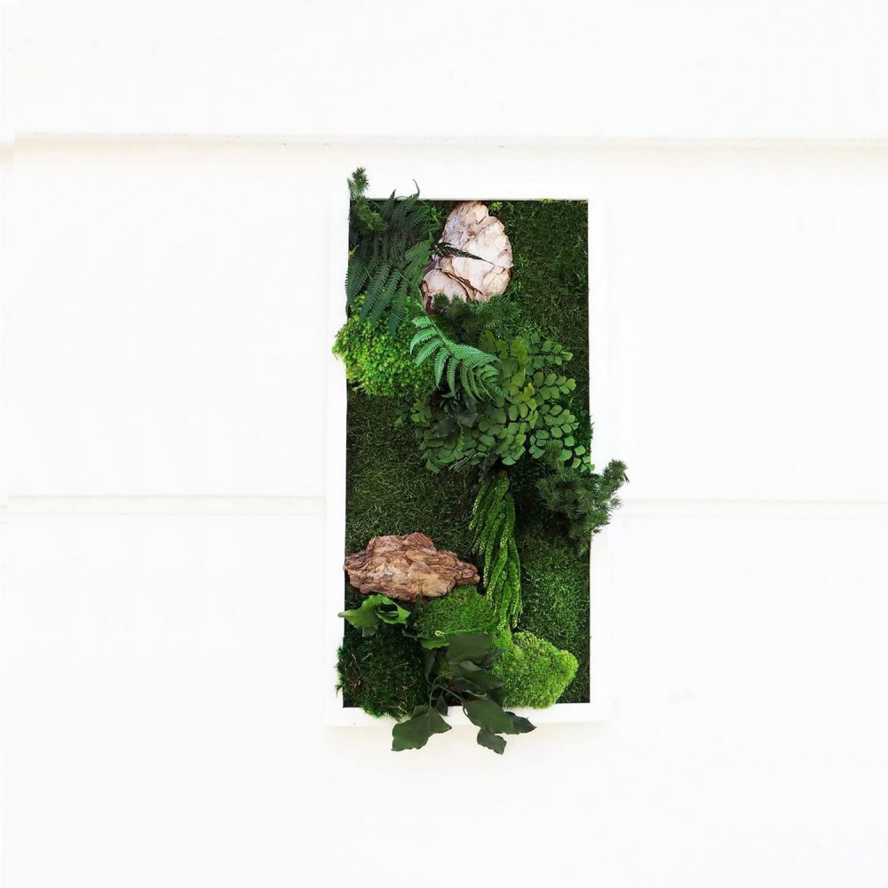 Tableau végétal stabilisé FOSTERIANA — composition végétale naturelle stabilisée — Deco-Vegetale