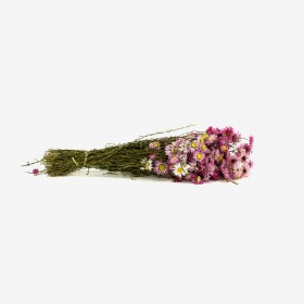fleurs séchées