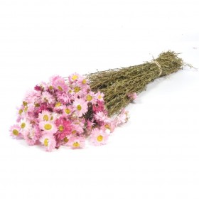 fleurs séchées
