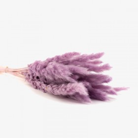 Bouquet de 15 mini pampa séchée mauve lavande – décoration bohème Deco-Vegetale