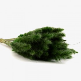 Bouquet de 15 mini pampa séchée vert – fleurs séchées bohème chic Deco-Vegetale