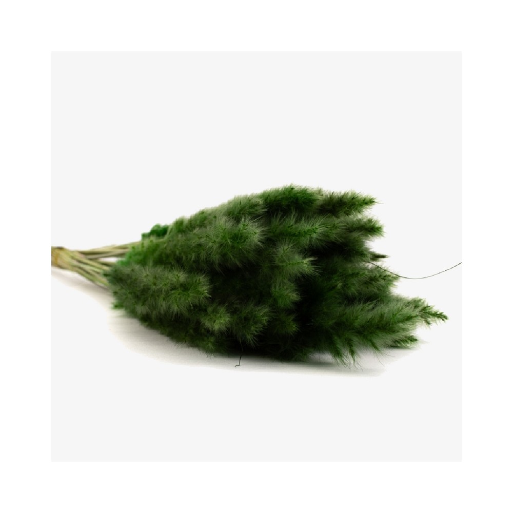Bouquet de 15 mini pampa séchée vert – fleurs séchées bohème chic Deco-Vegetale