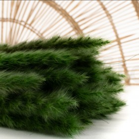 pampa séchée vert