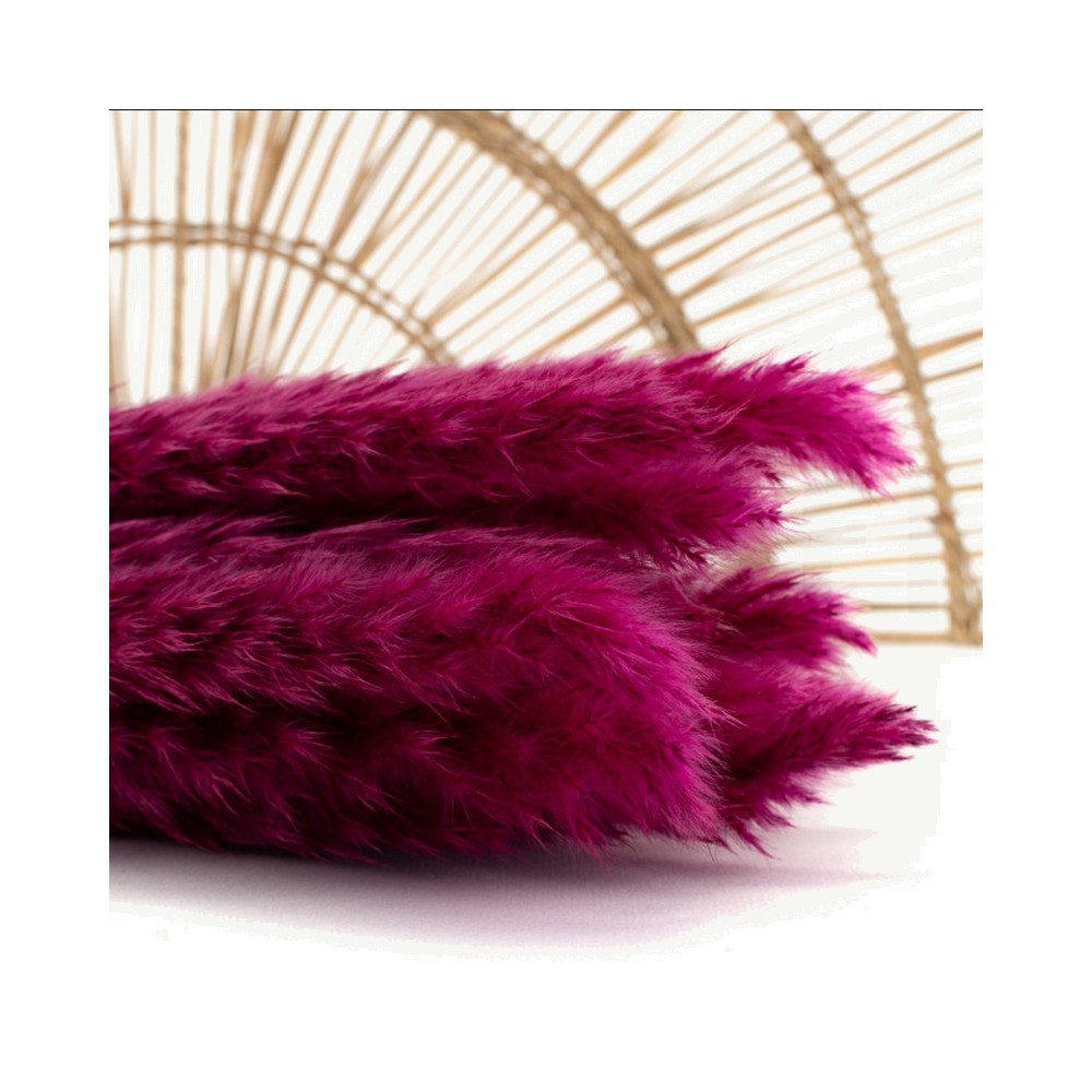 Bouquet de 15 mini pampa séchée fuchsia – décoration florale vive Deco-Vegetale