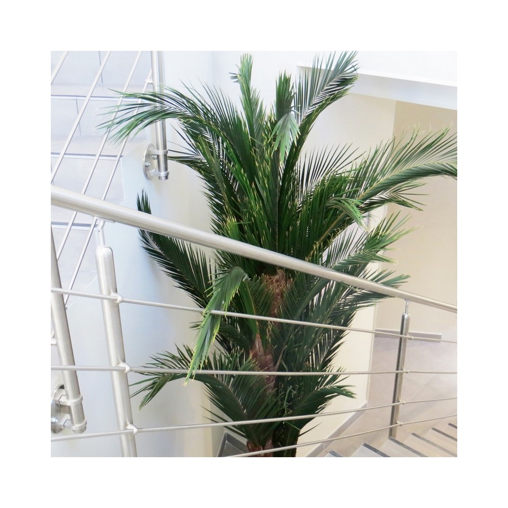 Palmier kentia stabilisé - plante naturelle grand format - décoration intérieure - Deco-Vegetale