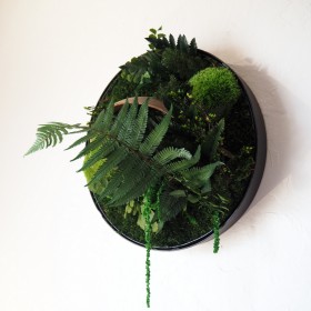 Rond végétal stabilisé ROTTNEST ISLAND — cadre rond plantes stabilisées — zéro entretien — Deco-Vegetale