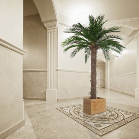 Palmier phoenix stabilisé - plante naturelle grand format - décoration intérieure - Deco-Vegetale