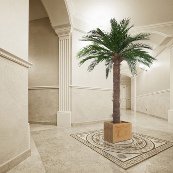 Palmier phoenix stabilisé - plante naturelle grand format - décoration intérieure - Deco-Vegetale