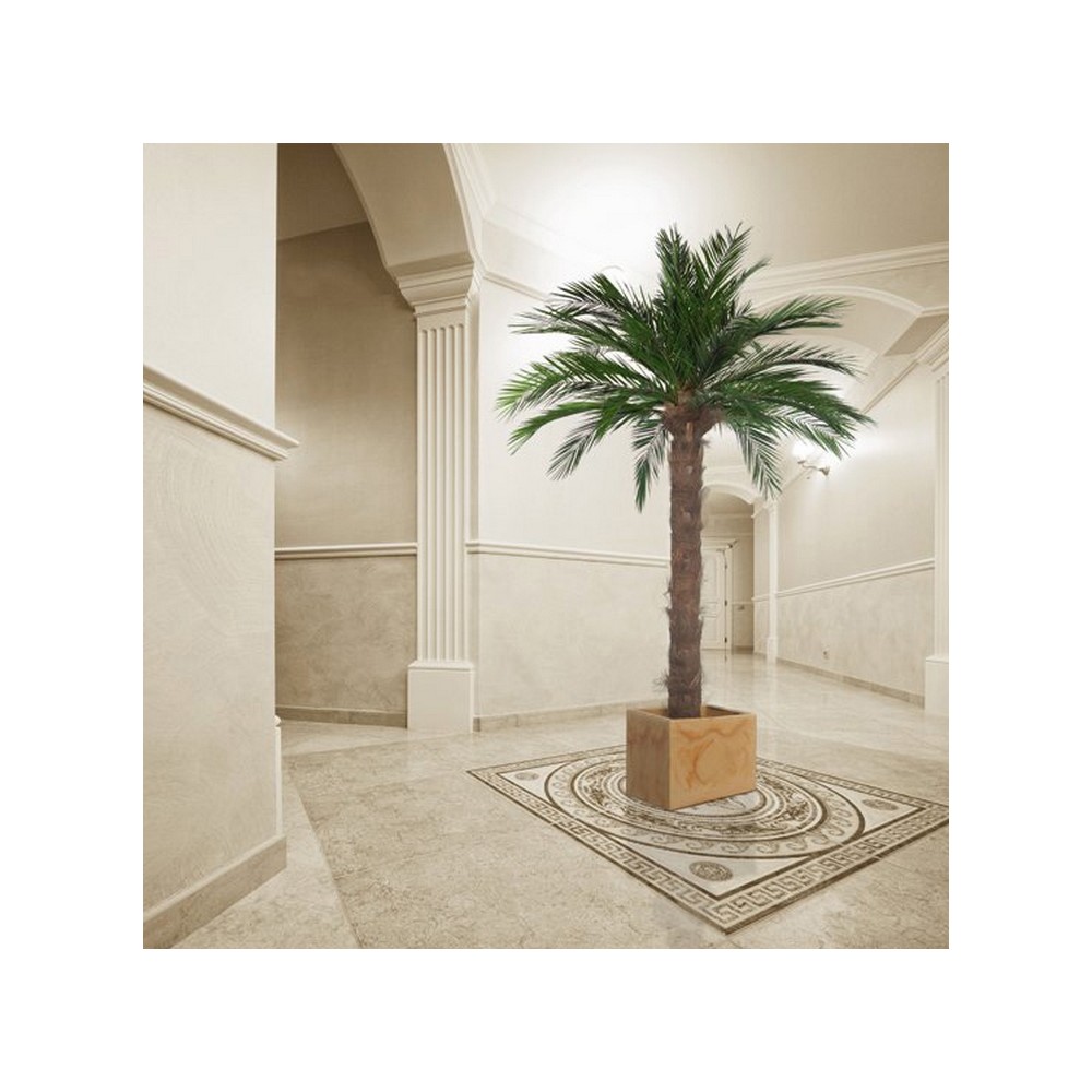 Palmier phoenix stabilisé - plante naturelle grand format - décoration intérieure - Deco-Vegetale